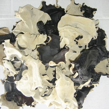 Black Fungus (Black Fungus)