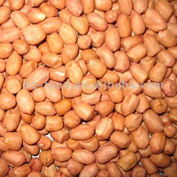  Peanuts Kernels (Round Type) (Arachides décortiquées (Round Type))