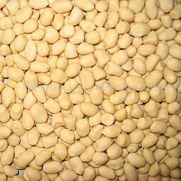  Blanched Kernels (Round Type) (Décortiquées blanchies (Round Type))