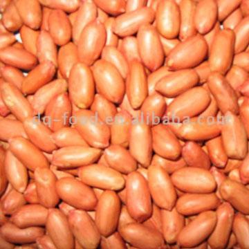  Roasted Peanut Kernels (Жареные ядра арахиса)
