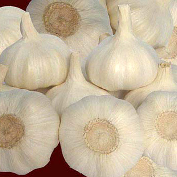  Chinese Garlic (Ail chinois)