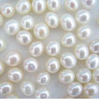  Rice Pearl ( Rice Pearl)