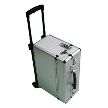  Pilot Case ( Pilot Case)