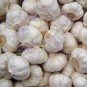 White Knoblauch (White Knoblauch)