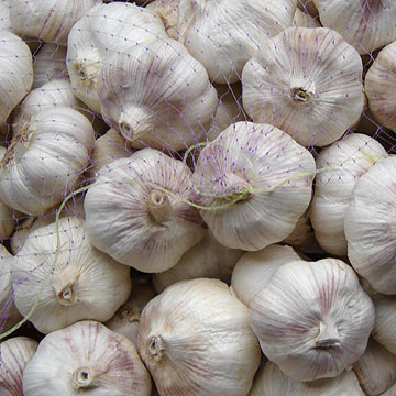  Normal White Garlic (Нормальный белый чеснок)