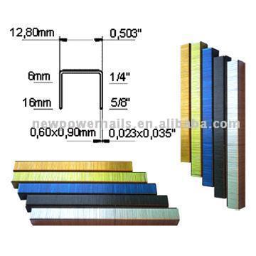  Staple (Staple)