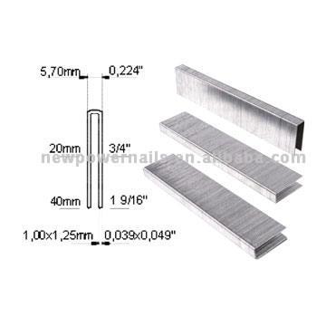  Staple (Staple)