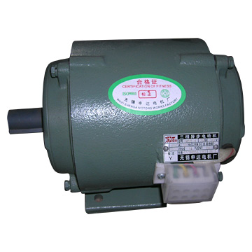  Water Cooled 3-Phase Asynchronous Motor ( Water Cooled 3-Phase Asynchronous Motor)