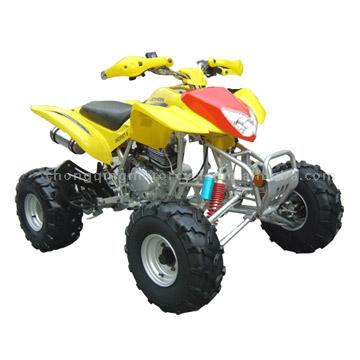  ATV 250cc with Reverse Gear (ATV 250cc с заднего хода)