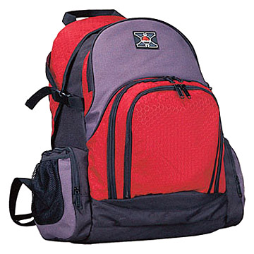  Computer Backpack