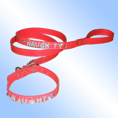  Dog Collar and Leash ( Dog Collar and Leash)