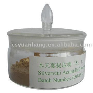  Silvervine Extract (Silvervine Extrait)