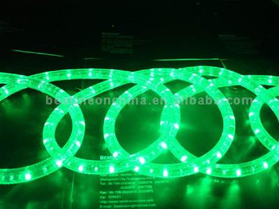  2-Wire Round LED Rope Lights (2-Wire Rope Tour LED Lights)