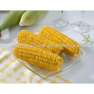  Frozen Whole Sweet Corns (Замороженные целые Sw t мозоли)