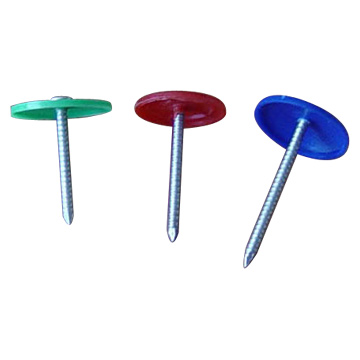  Plastic Cap Nails (Plastic Cap Nails)