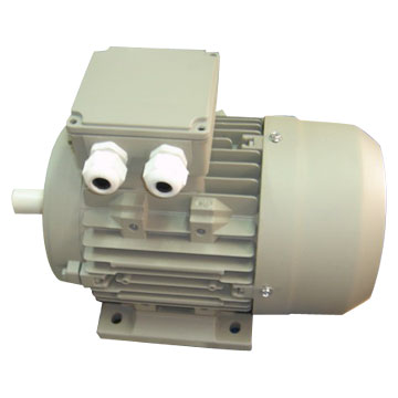  Electric Motor ( Electric Motor)