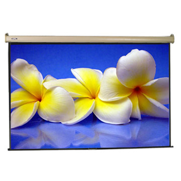 Manual Wall Screen (Rolloleinwand)