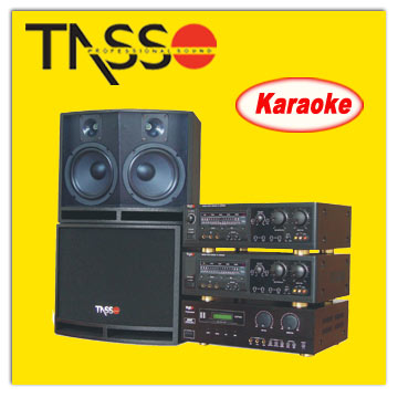  Digital Karaoke Amplifier (Цифровой усилитель Караоке)