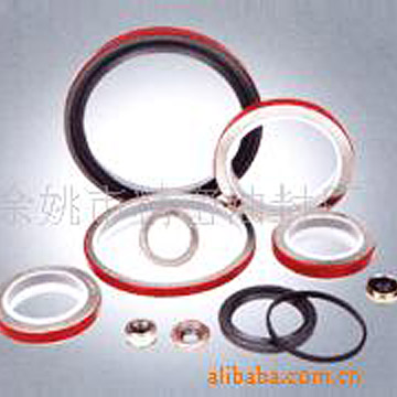  PTFE Oil Seal (PTFE нефть Seal)