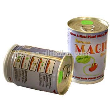  Magic Beans in Tinplate Cans (Magic Beans dans des boîtes en fer-blanc)