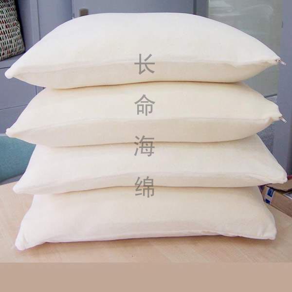  PU Memory Foam Pillows (PU Memory Foam Pillows)
