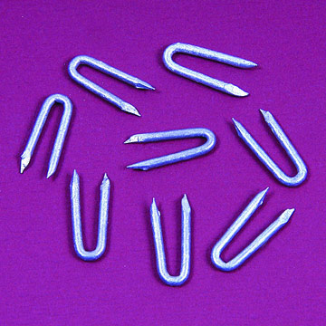  Staple Nails ( Staple Nails)