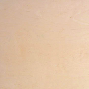 birch faced ply