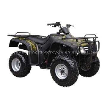  ATV 300cc (ATV 300cc)