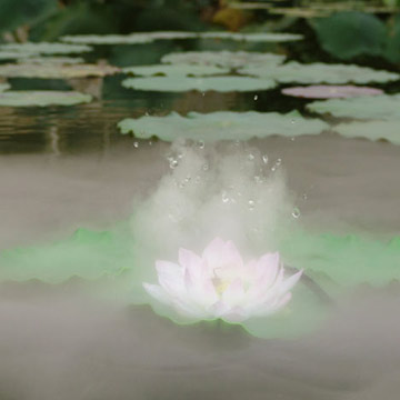  Magical Pond Fogger with Water Lily Floating Ring (Magical Pond Fogger avec la bague nénuphar flottant)