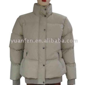  Ladies` Padded Jacket ( Ladies` Padded Jacket)