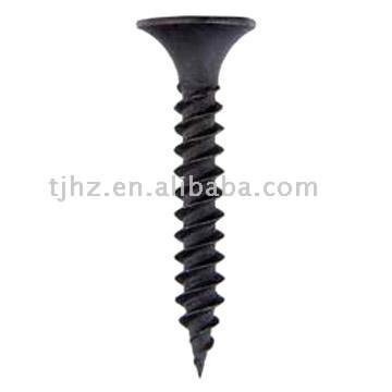  Dry Wall Screw