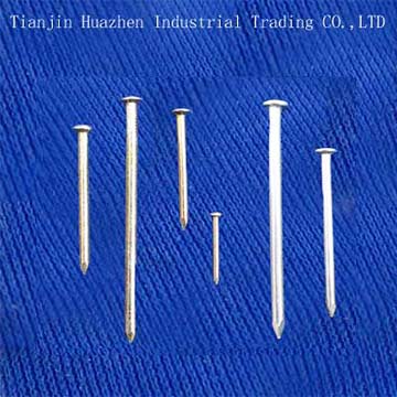  Steel Concrete Nails (Acier Béton Nails)