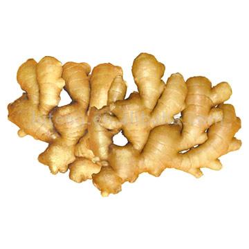 Dry Ginger (Dry Ginger)