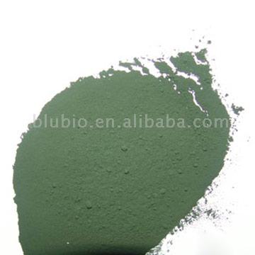  Chlorella Powder (Хлорелла порошковые)