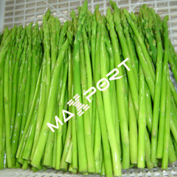 IQF Spargel (IQF Spargel)