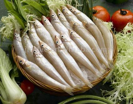  Sardine (Сардины)