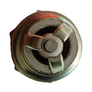  Spark Plug (Spark Plug)