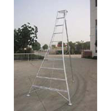  Tripod Ladder (Stativ Ladder)