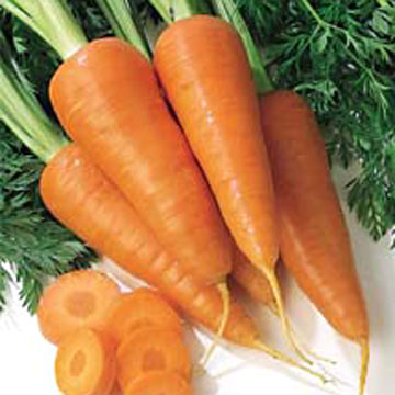  Carrots (Carottes)