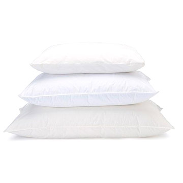  Duck Feather Pillows ()