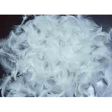  White Duck and Goose Feathers ( White Duck and Goose Feathers)