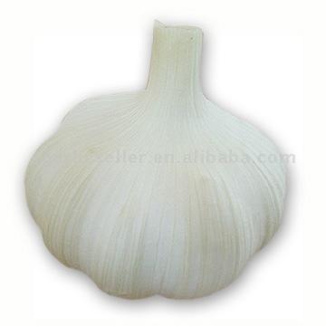  Chinese Garlic (Chinesischem Knoblauch)