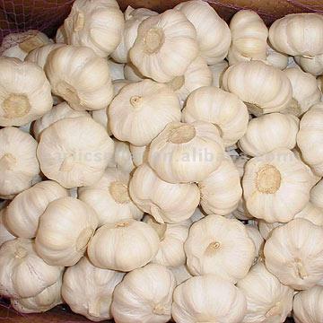  Pure White Garlic (Чистый белый чеснок)