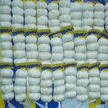  Pure White Garlic New Crop 2006 (Pure White ail nouveau récolte 2006)