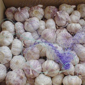  Normal White Garlic (Нормальный белый чеснок)