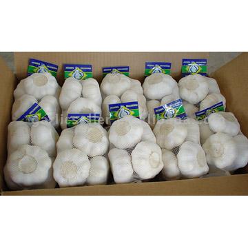  Pure White Garlic New Crop 2006 (Pure White ail nouveau récolte 2006)