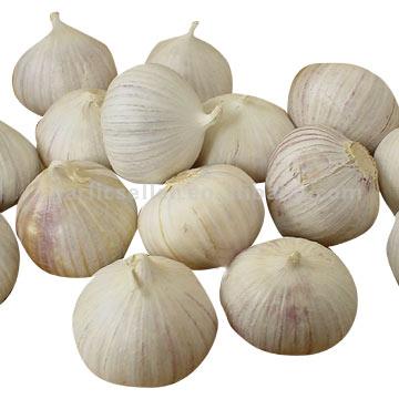 Single Bulb Knoblauch (Single Bulb Knoblauch)