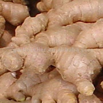  Air Dried Ginger ( Air Dried Ginger)