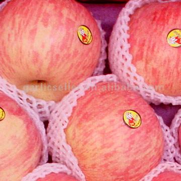  Fuji Apples