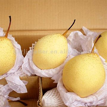  Ya Pears (Я. Груши)